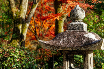 京都三室戸寺の石塔と紅葉