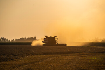 grain harvester working in the field, wheat harvest, harvester at harvest time, wheat harvester at...