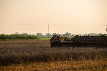 Fototapeta na wymiar grain harvester working in the field, wheat harvest, harvester at harvest time, wheat harvester at sunset