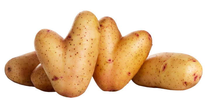 Three fresh potatoes