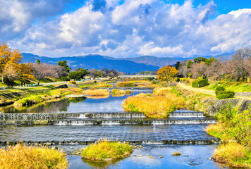京都、葵橋からの賀茂川