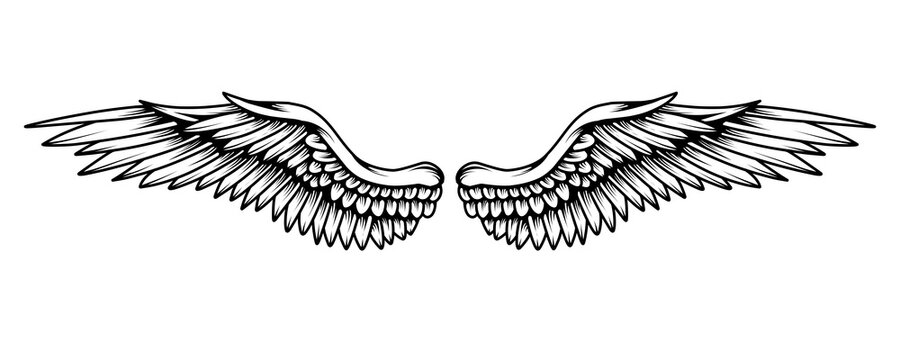 Tribal angel wings tattoo illustration
