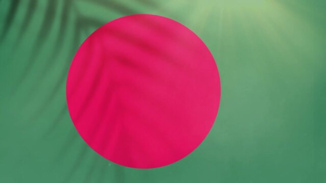 Bangladesh flag videos. Slow Motion videos. Flag Blowing Close Up with tree shadow