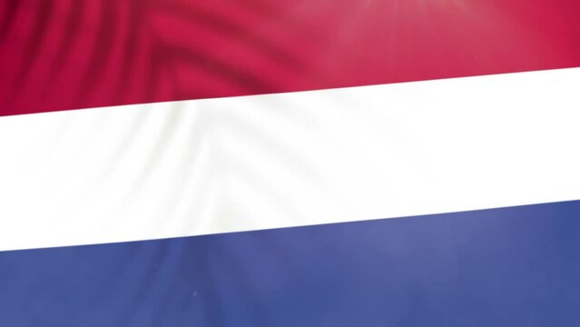 Netherlands flag videos. Slow Motion videos. Flag Blowing Close Up with tree shadow