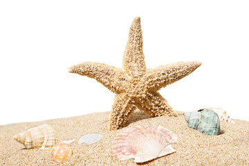 One Starfish on beach sand isolated on white background