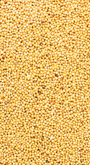 White mustard grains, dry spice, food background texture, top view vertical banner