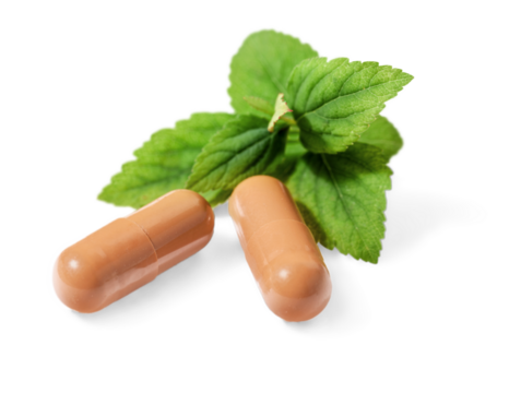 Alternative Medicine, pill capsule and green leaf