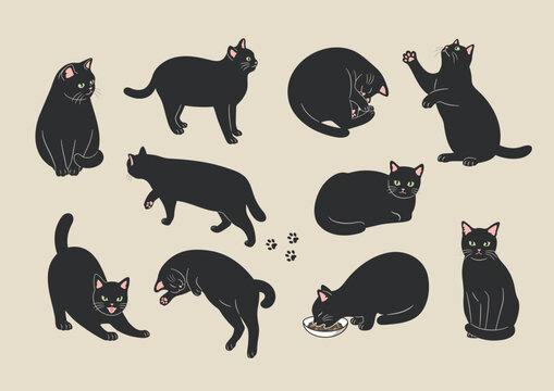黒猫」の写真素材 | 3,165,924件の無料イラスト画像 | Adobe Stock