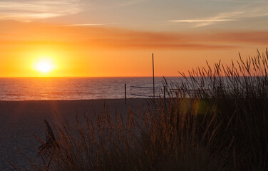 Sunset over the sand dunes, Praia de Esmoriz, Portugal. Ammophila arenaria silhouette. 