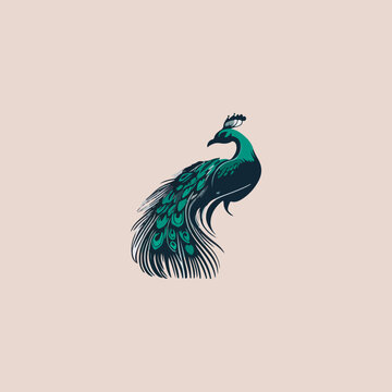 blue elegant peacock icon in isolated background