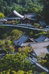 日本の伝統的な建物と木々