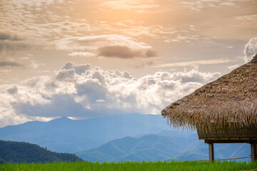 Fototapeta na wymiar mountain landscape of Pa-Pong-Peang terrace paddy rice field at sunset