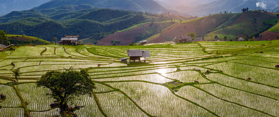 mountain landscape of Pa-Pong-Peang terrace paddy rice field at sunset