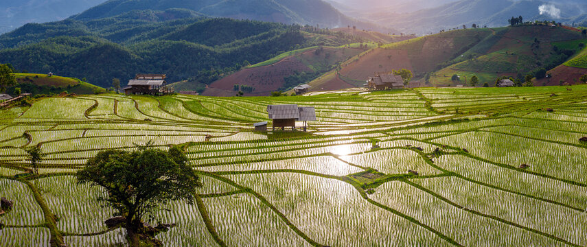 mountain landscape of Pa-Pong-Peang terrace paddy rice field at sunset