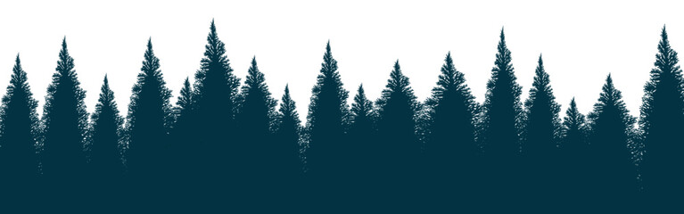 black dense fir forest isolated on white