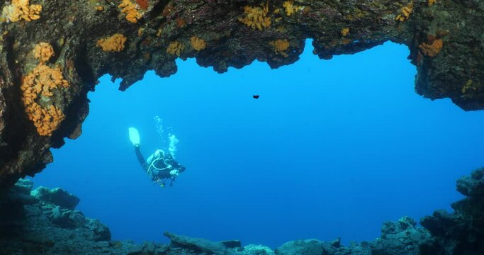 scubadiver exploring mediterranean waters underwater 