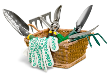 Different garden tools collection in the basket