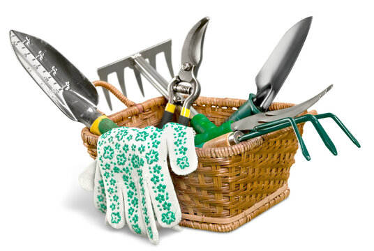 Different garden tools collection in the basket