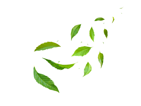Green Floating Leaves Flying Leaves Green Leaf Dancing, Air Purifier Atmosphere Simple Main Picture.