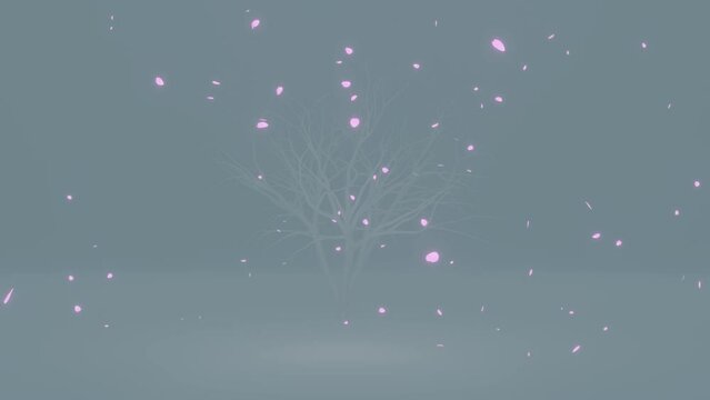 夜桜が風に吹かれて散る様子の動画素材