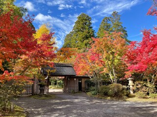 autumn in the park