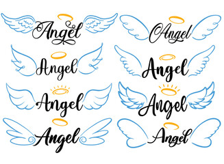 Angel wing set vector