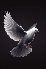 white dove, dark background, AI