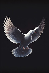 Fototapeta premium white dove, dark background, AI