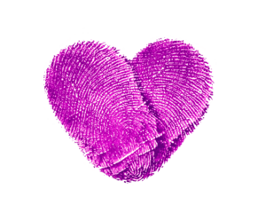 Pink Heart Shape Created by Two Fingerprint Isolated on png Transparent Background. Couple Finger. Love and Relationship Concept