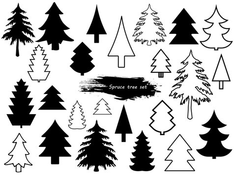 Vector set of different coniferous trees. Christmas elements