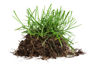 A piece turf or soil with green grass