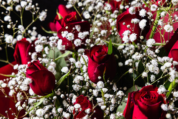 Roses and hazel on black background under spotlight. Concept photos for wedding anniversaries, entrance ceremonies, and acceptance announcements.