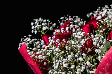 Roses and hazel on black background under spotlight. Concept photos for wedding anniversaries, entrance ceremonies, and acceptance announcements.