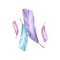 Pastel colored bird feathers. Boho style. Element from the world of magic. Watercolor illustration.