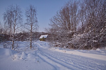 Naklejka premium Early morning in the vicinity of the camp site on the banks of the river Pinega.