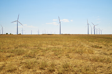 Fototapeta premium wind farm in the steppe against the blue sky