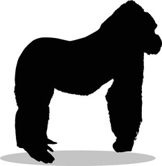 Gorilla Silhouette, cute Gorilla Vector Silhouette, Cute Gorilla cartoon Silhouette, Gorilla vector Silhouette, Gorilla icon Silhouette, Gorilla Silhouette illustration, Gorilla vector																