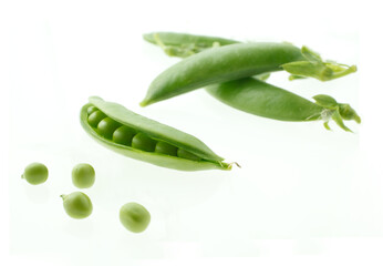 スナップエンドウ　白バック　イメージ