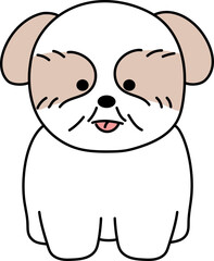 ほっこりかわいいお座りシーズー
