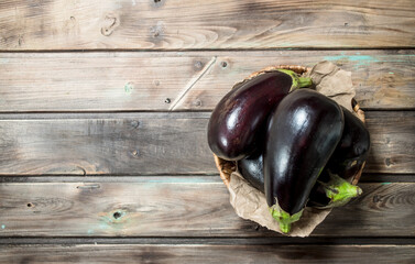 Fresh eggplant in the basket.