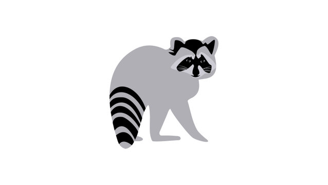 Raccoon silhouette
