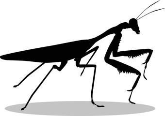 Mantis Silhouette, cute Mantis Vector Silhouette, Cute Mantis cartoon Silhouette, Mantis vector Silhouette, Mantis icon Silhouette, Mantis Silhouette illustration, Mantis vector																							