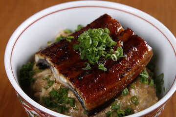Japanese rice bowl with fish slice on top