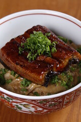 Japanese rice bowl with fish slice on top