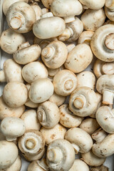 Fresh ripe mushrooms.