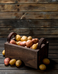 Fresh potatoes in the box.