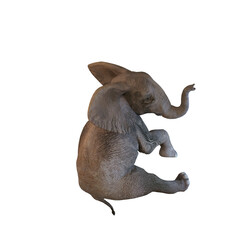 elephant baby 3d render 