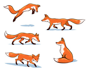 Set of fox illustrations in various poses simple drawing