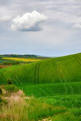 Spring landscape in the rolling hills of Tuscany