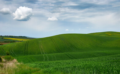 Spring landscape in the rolling hills of Tuscany